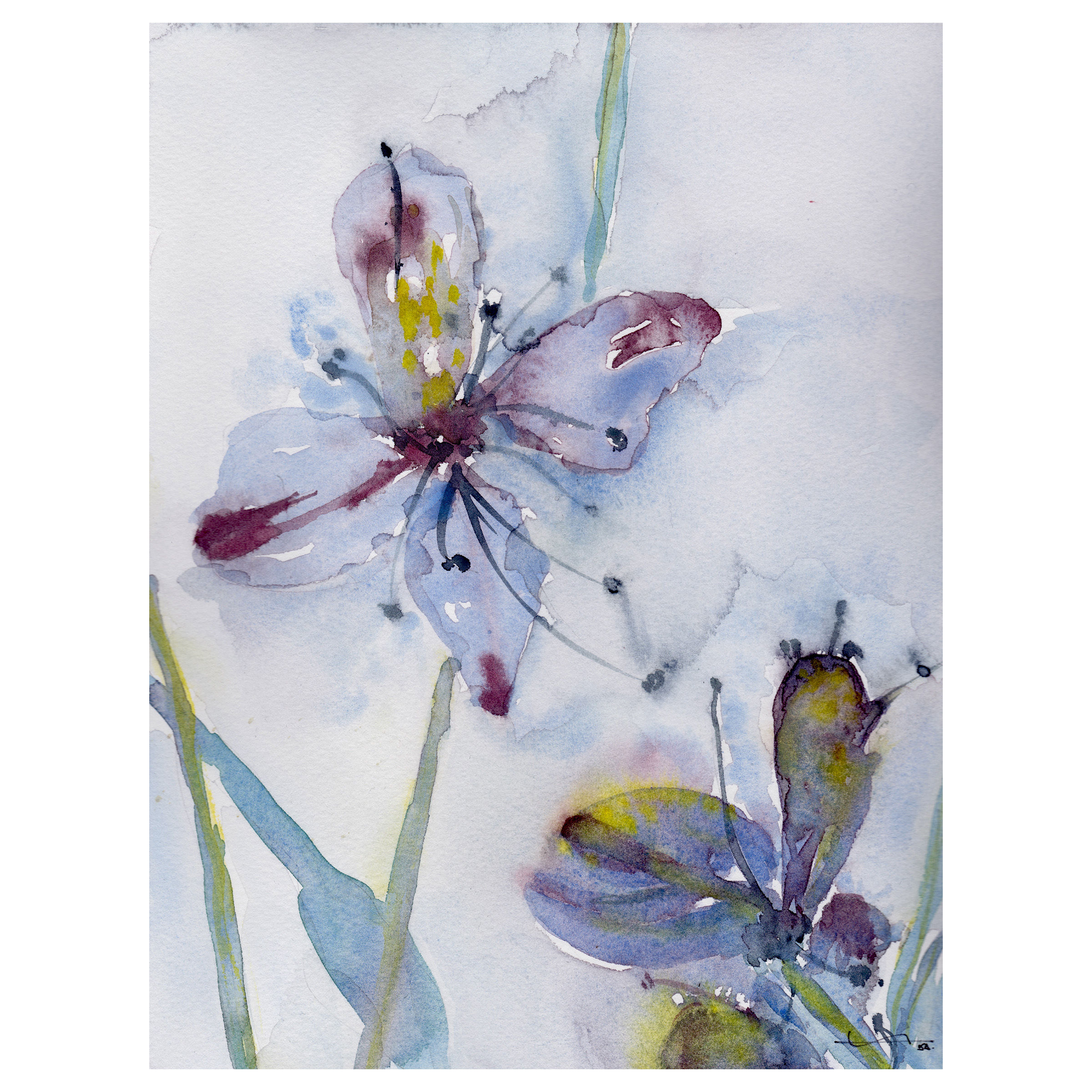 aquarelle