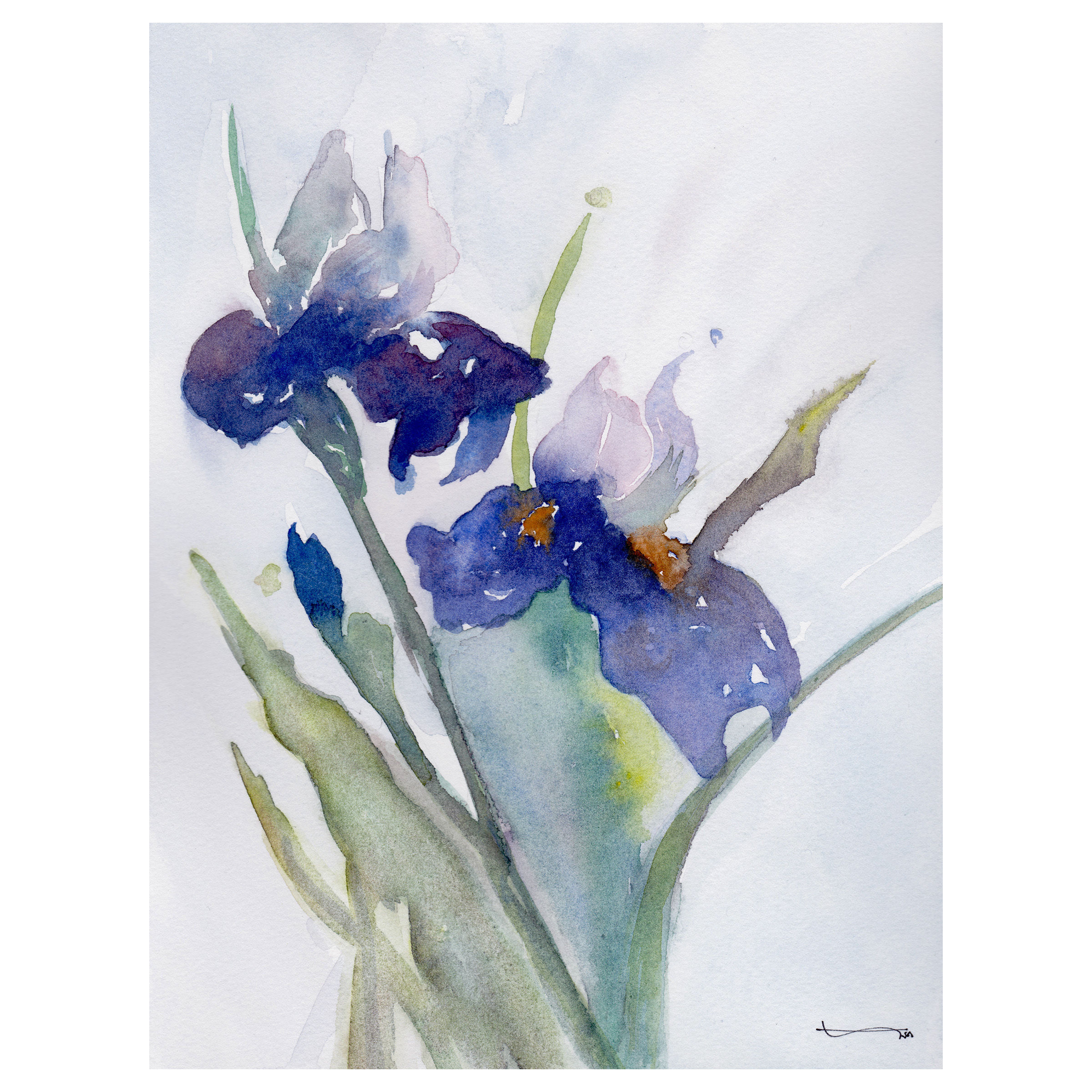 aquarelle